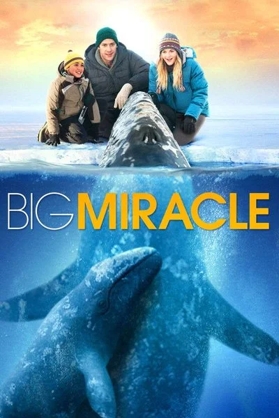 Poster Big Miracle