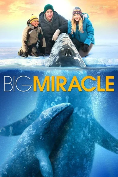 Affiche Miracle en Alaska