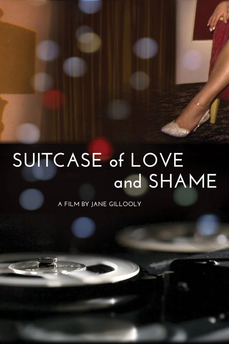 Affiche de Suitcase of Love and Shame