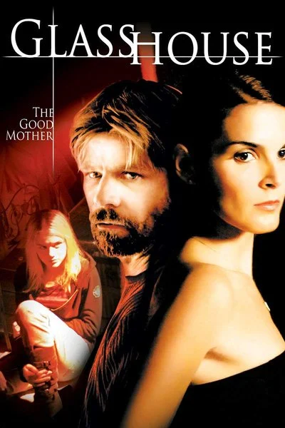 Affiche La prison de verre 2