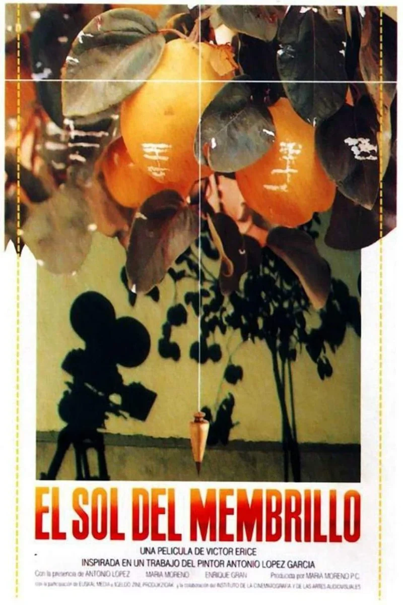 Affiche de El sol del membrillo
