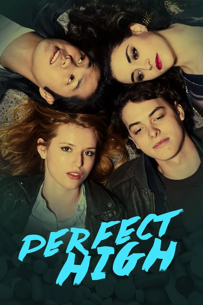 Affiche de Perfect High