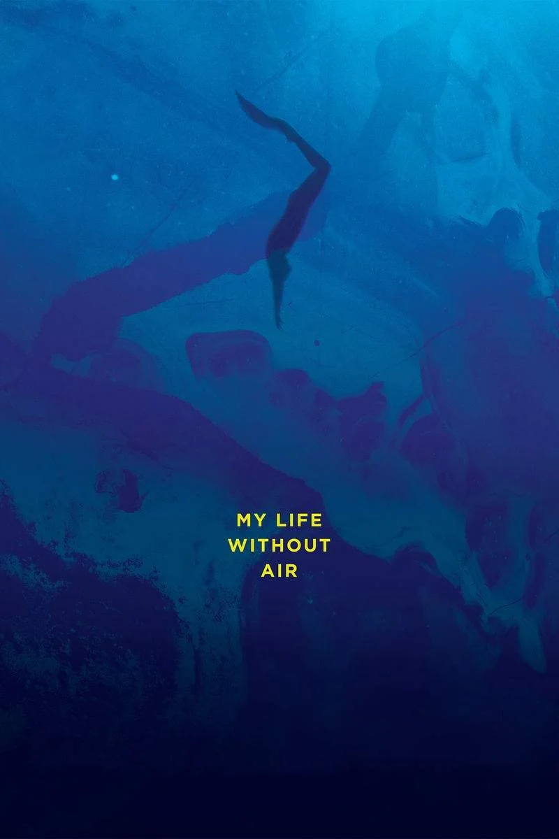 Poster van My Life Without Air
