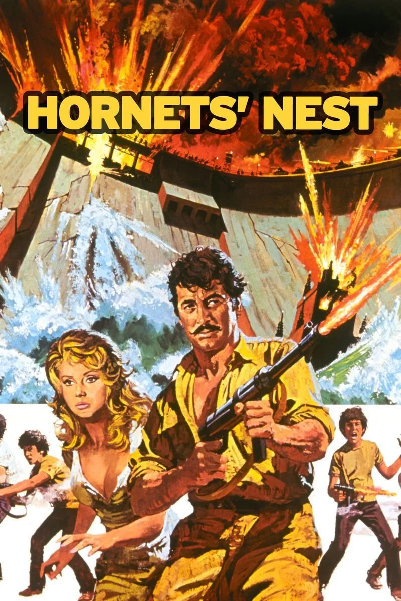 Affiche de L'assaut Des Jeunes Loups