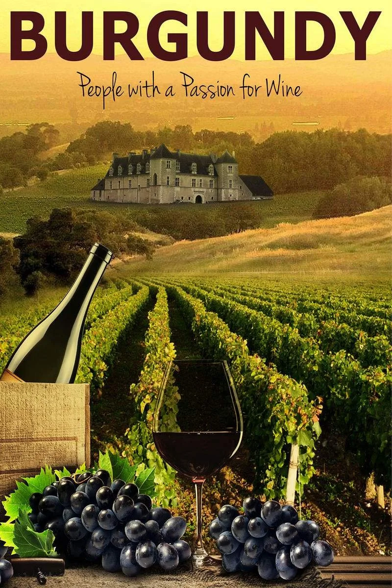 Affiche de Bourguignons: des gens passionnés par le vin