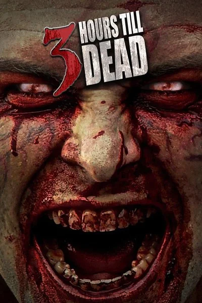 Affiche 3 Hours Till Dead