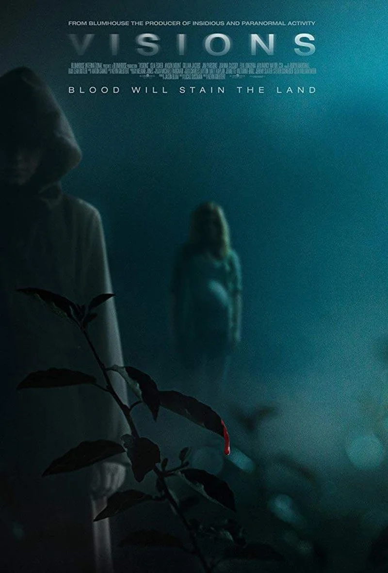 Affiche de Visions