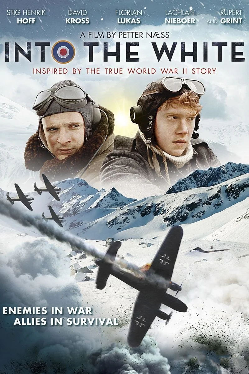 Affiche de Into the White