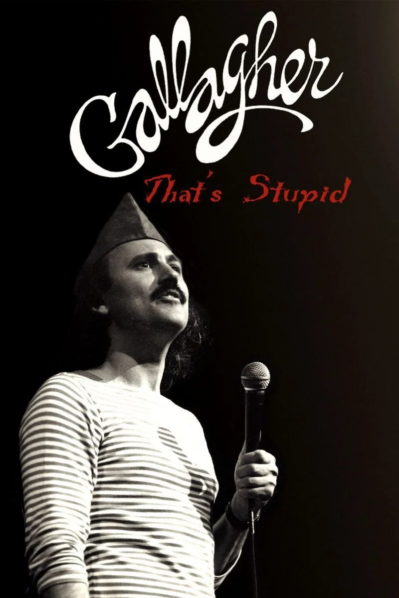 Affiche de Gallagher: That's Stupid