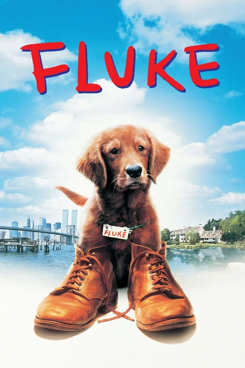 Poster van Fluke