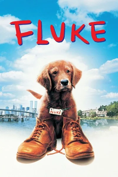 Affiche Fluke