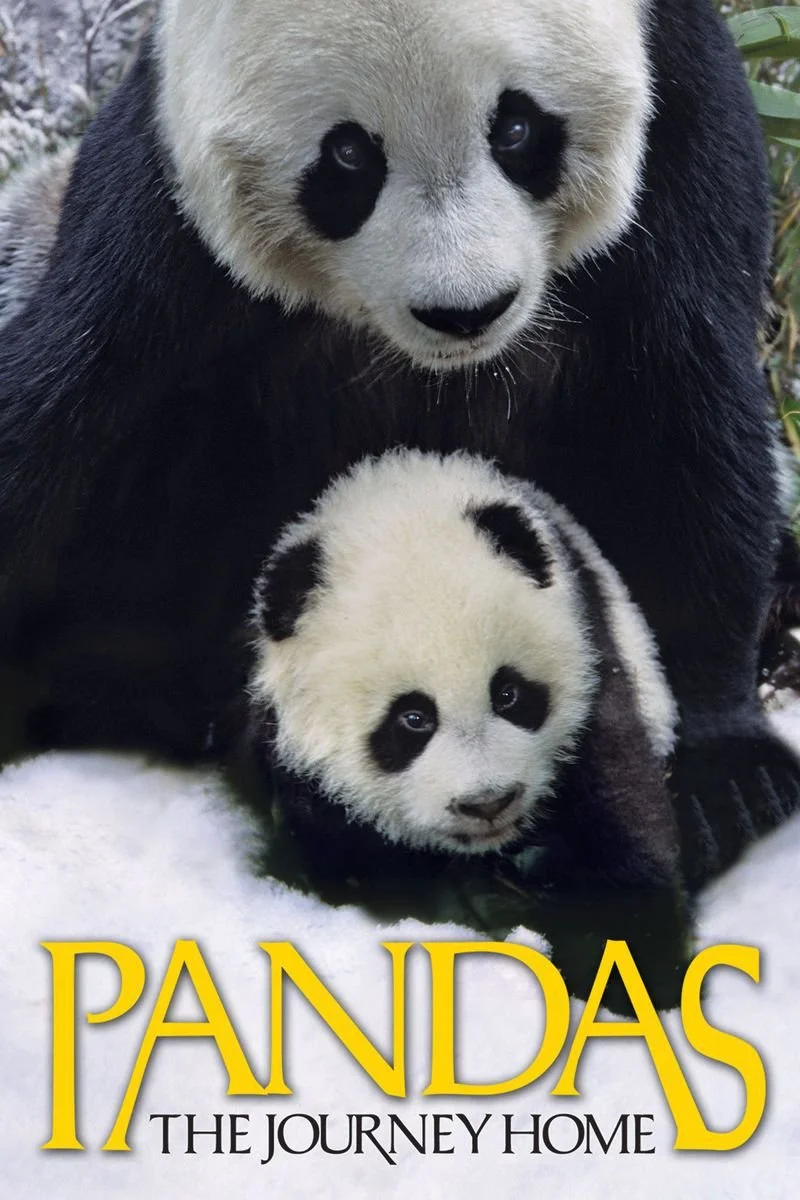 Poster van Pandas: The Journey Home