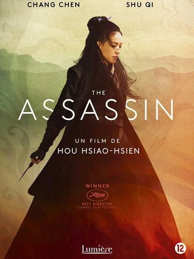 Affiche The Assassin