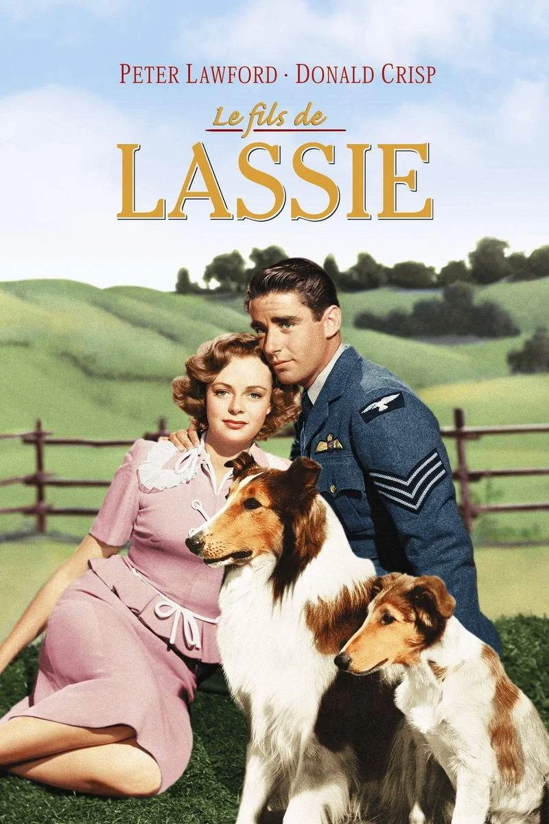Affiche de Son of Lassie