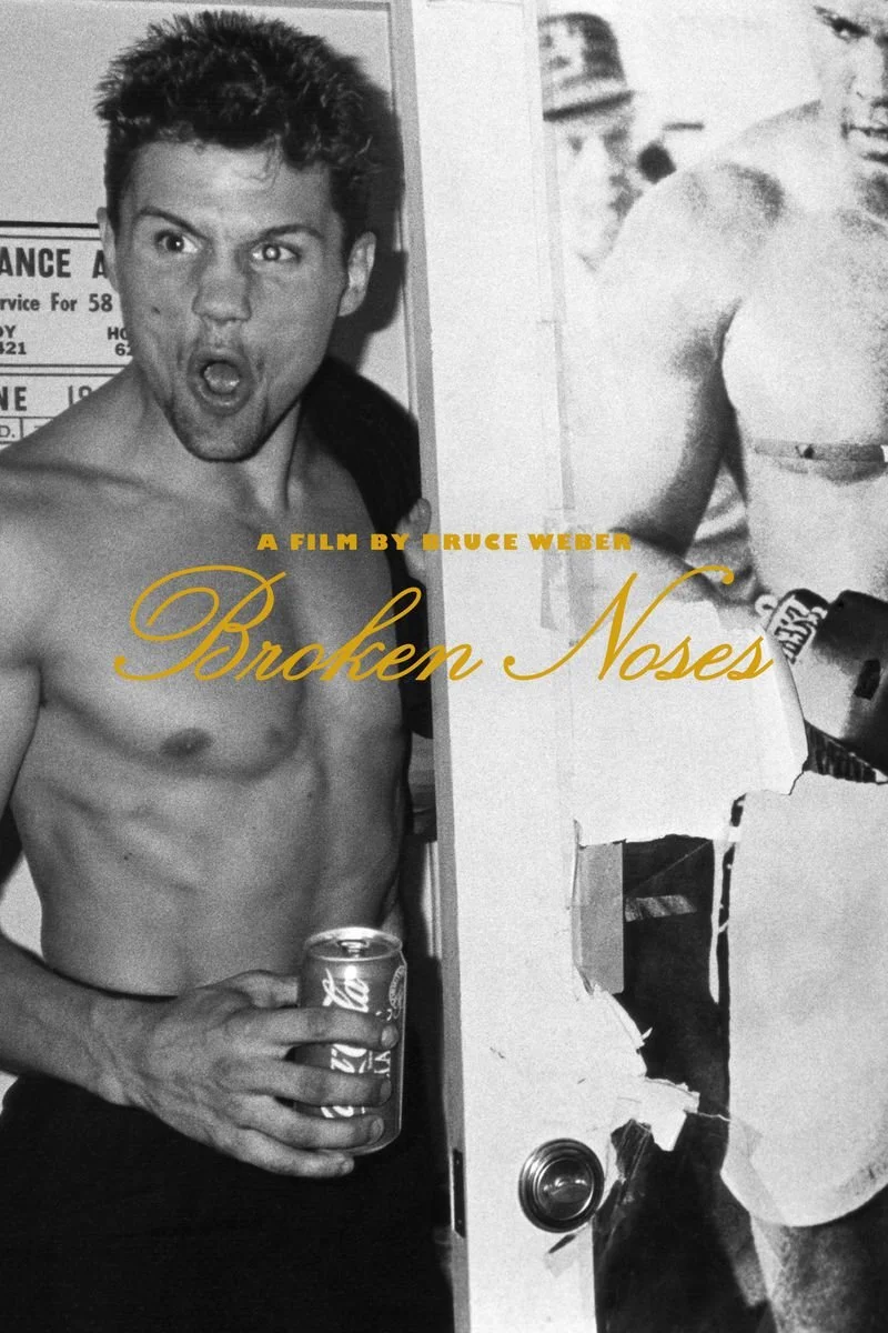 Poster van Broken Noses