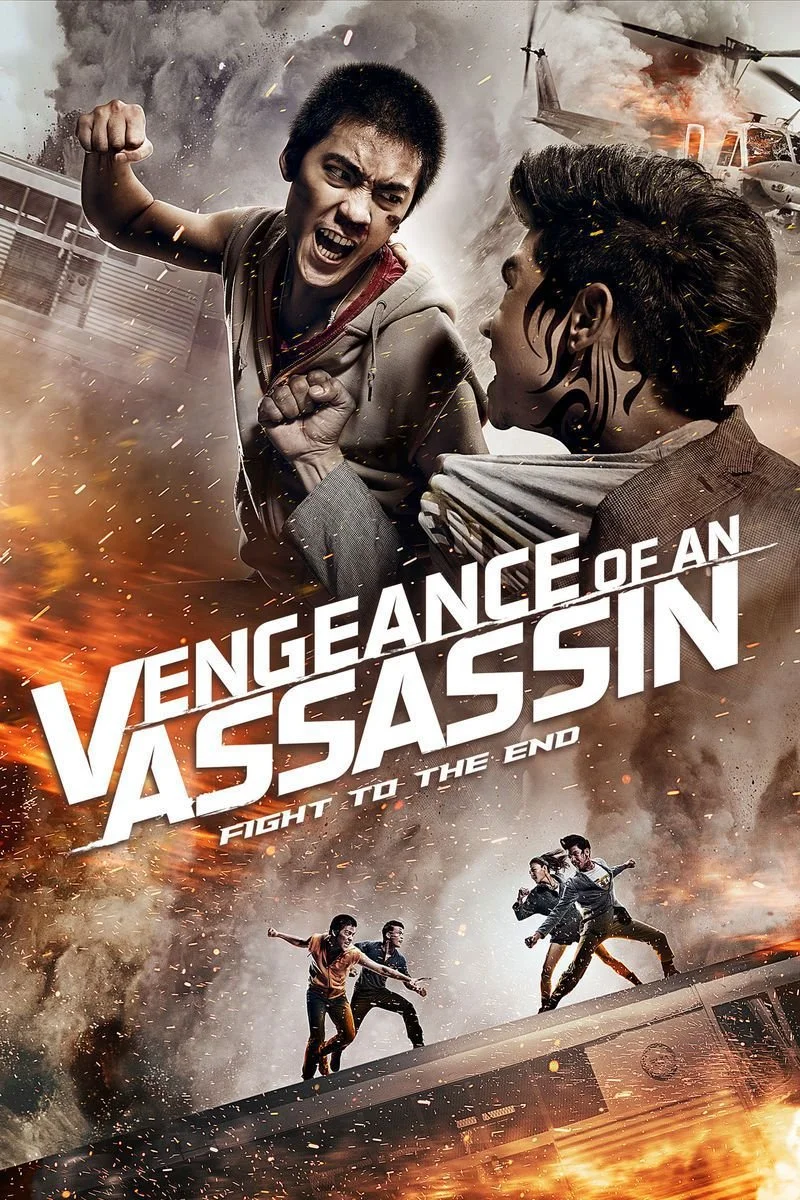Affiche de Vengeance (2017)