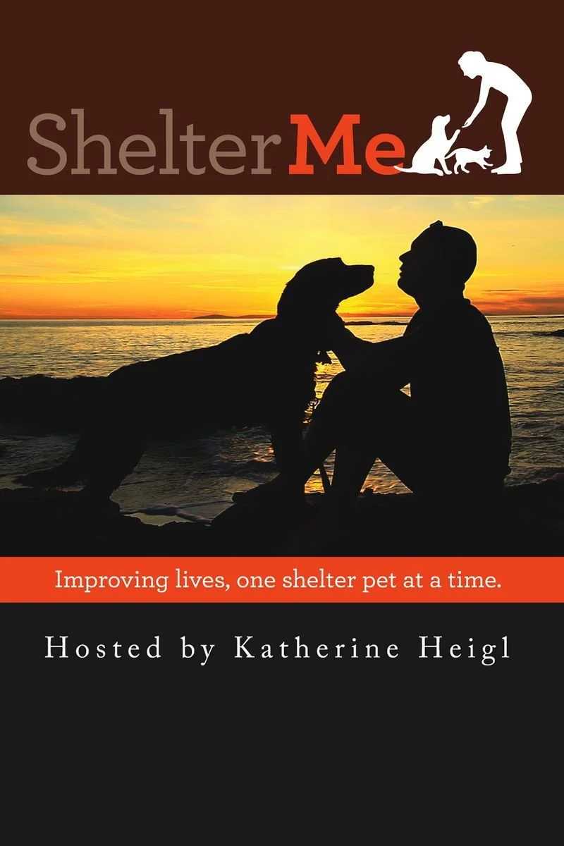 Affiche de Shelter Me