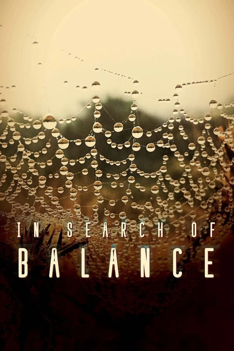 Poster van In Search of Balance