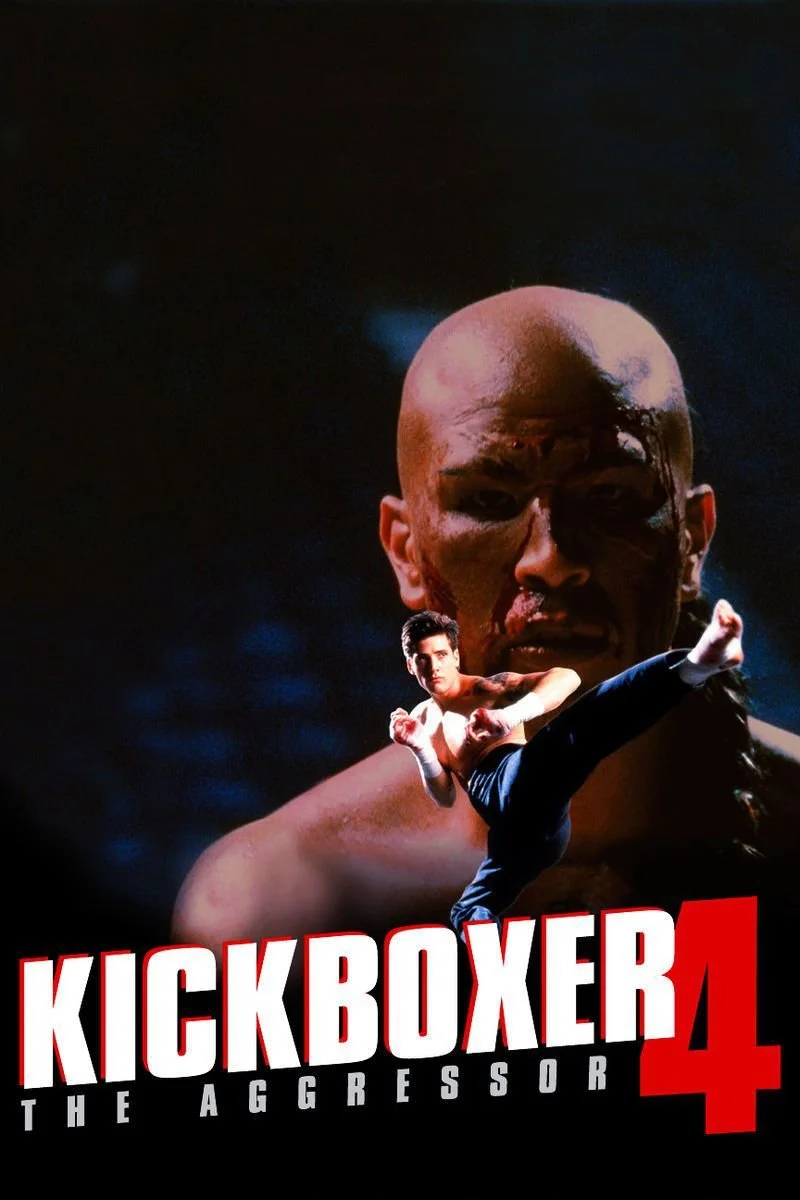 Poster van Kickboxer 4: The Aggressor