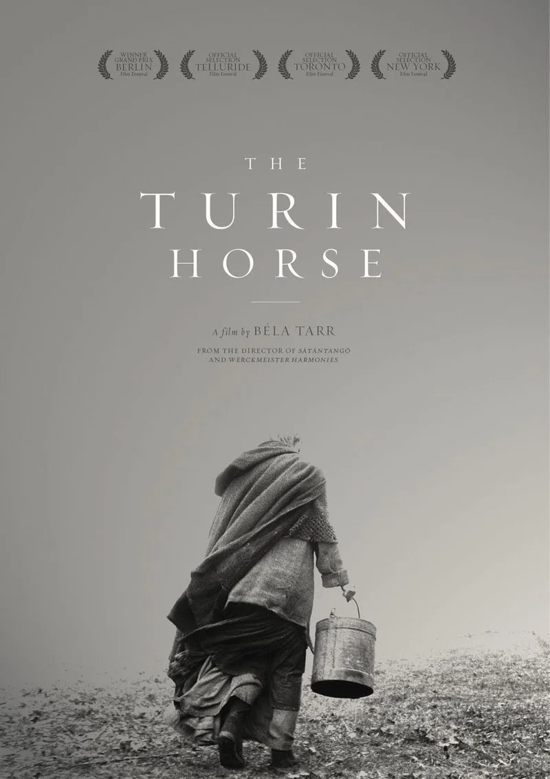 Affiche de The Turin Horse