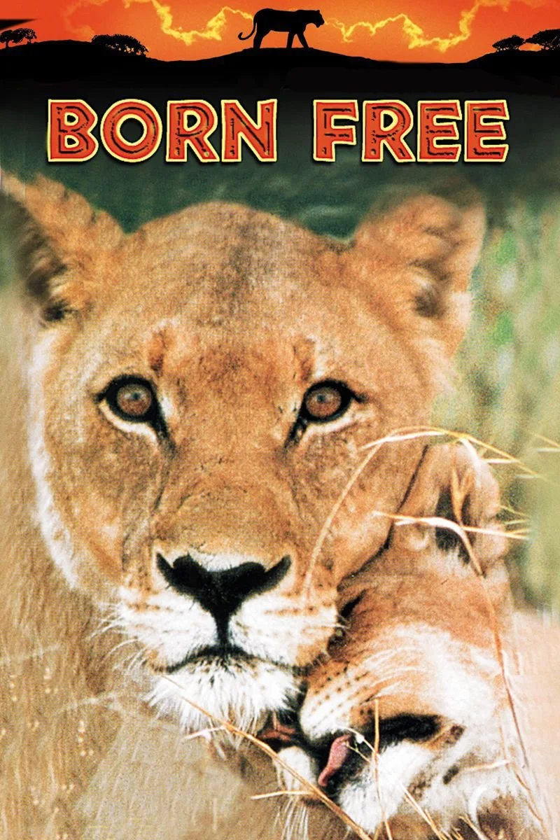 Affiche de Born Free