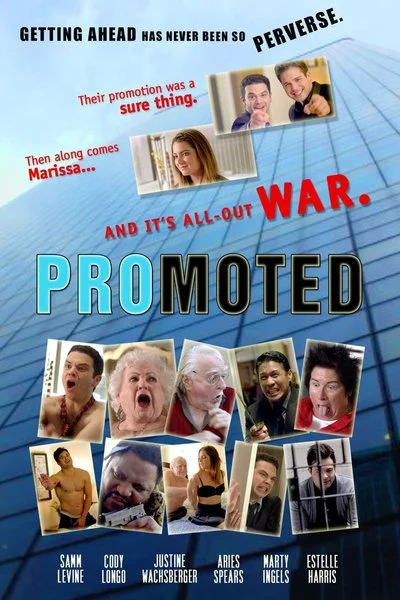 Poster Promoted