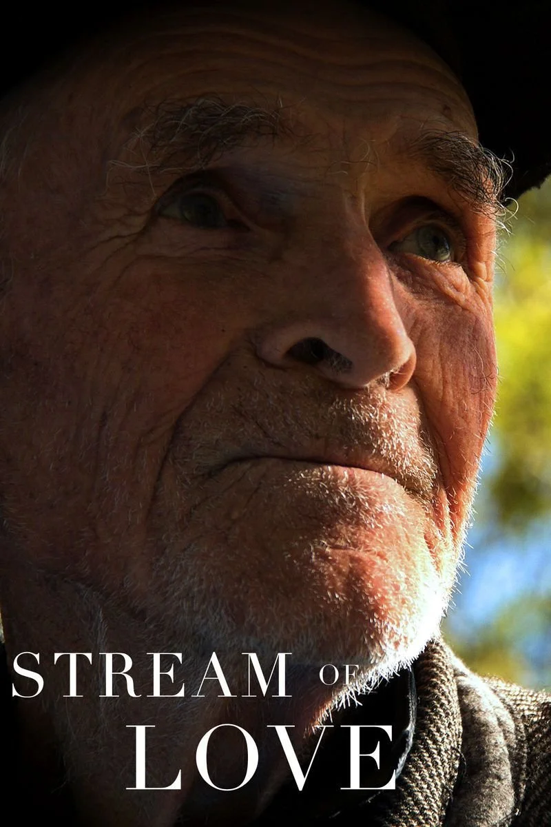 Affiche de Stream of Love