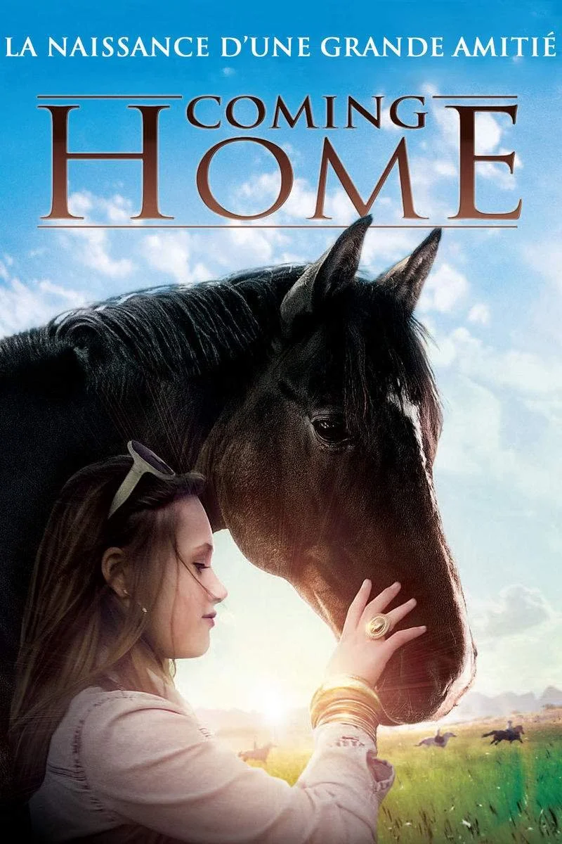 Affiche de Til siste hinder
