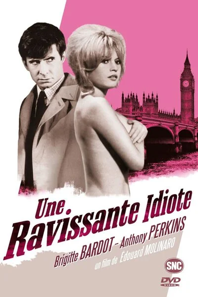 Affiche Une ravissante idiote