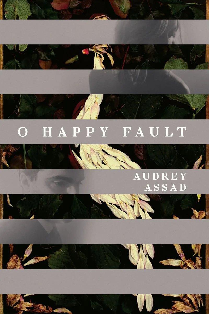Affiche de Audrey Assad: O Happy Fault