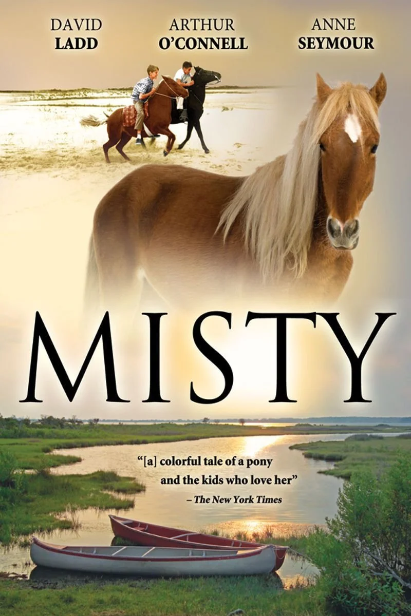 Affiche de Misty