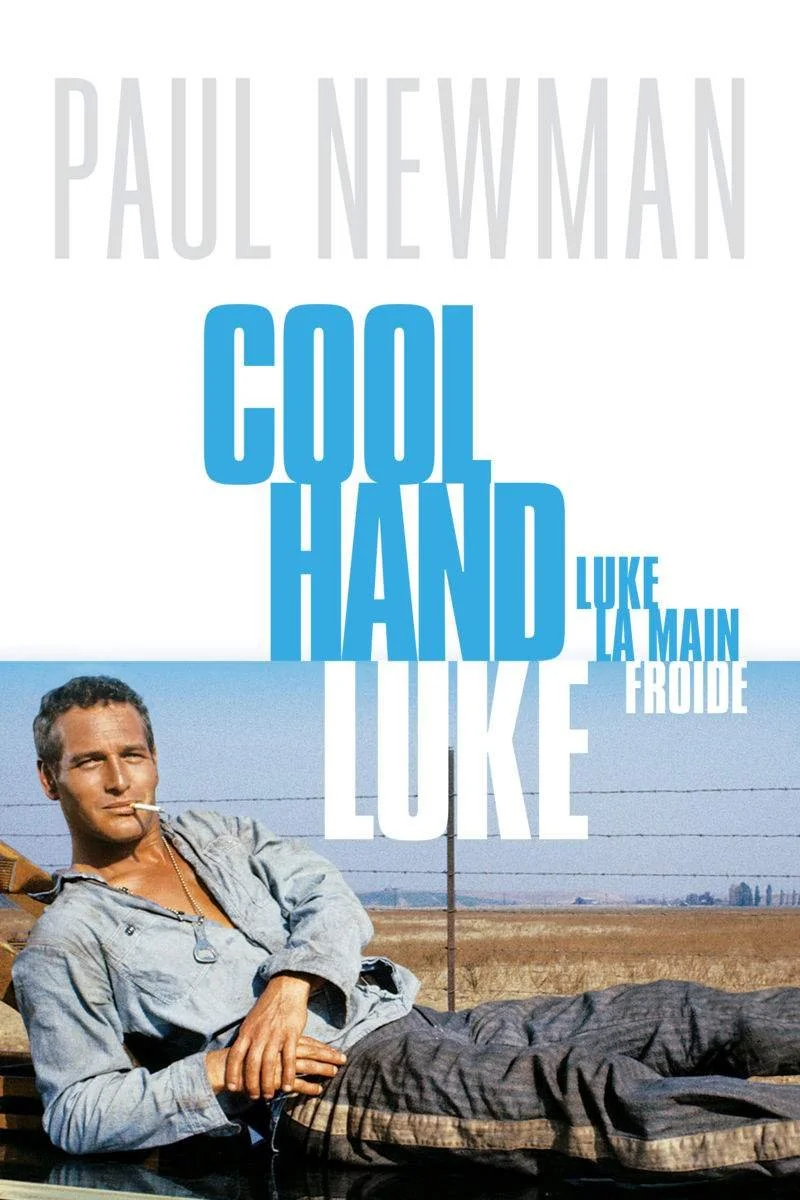 Affiche de Luke la main froide