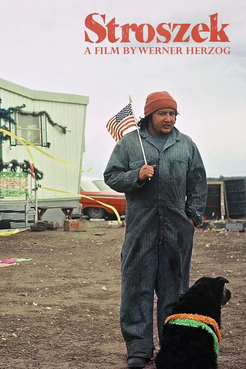 Poster van Werner Herzog Film Collection: Stroszek