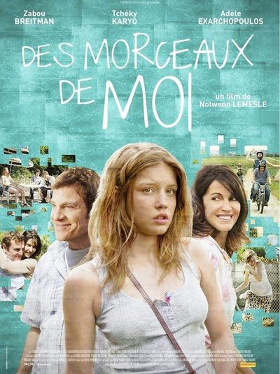 Affiche Des morceaux de moi