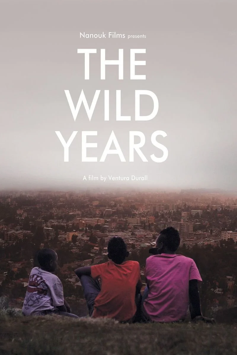 Poster van The Wild Years