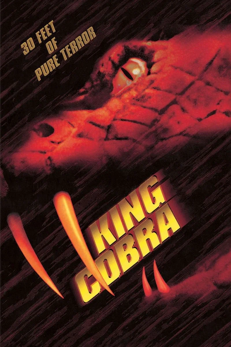 Affiche de King Cobra