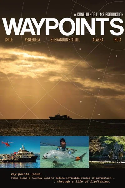Poster Waypoints