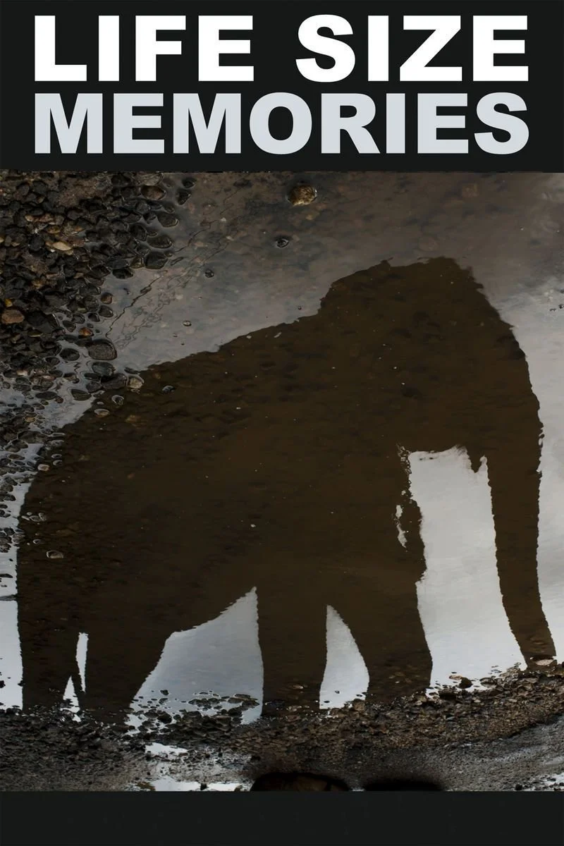 Poster van Life Size Memories: Elephants in True Colour