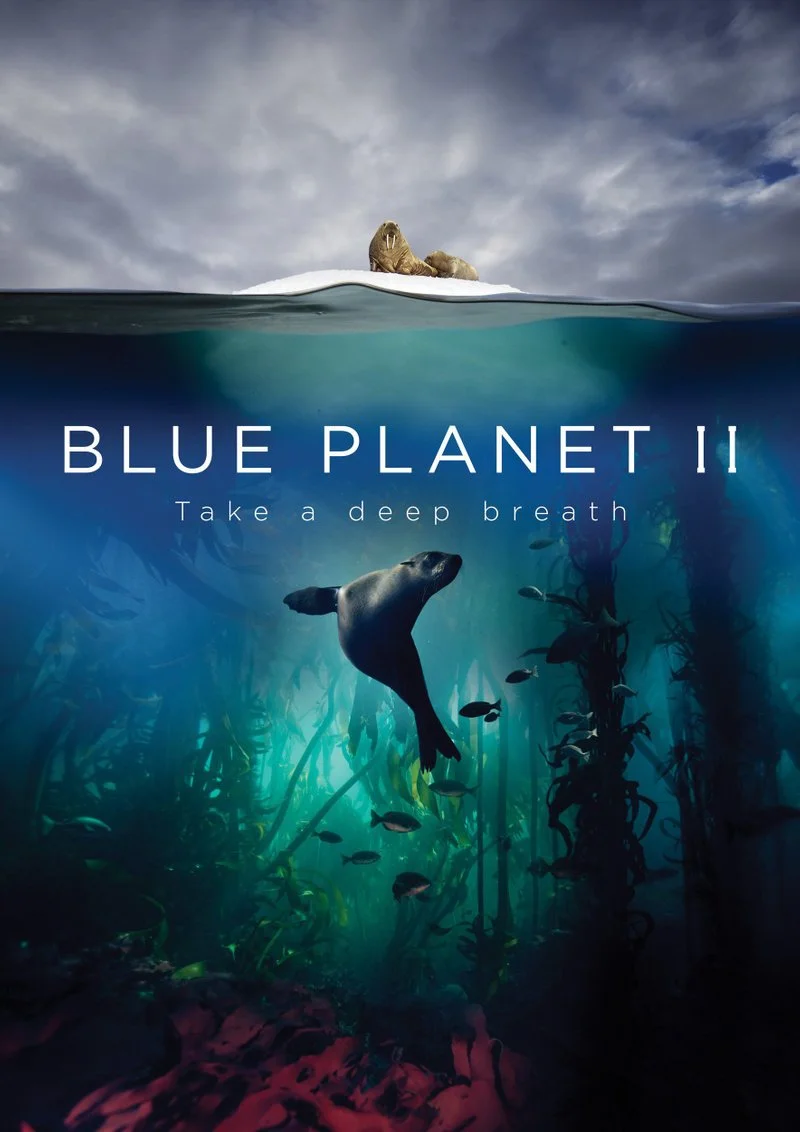 Poster van Blue Planet II