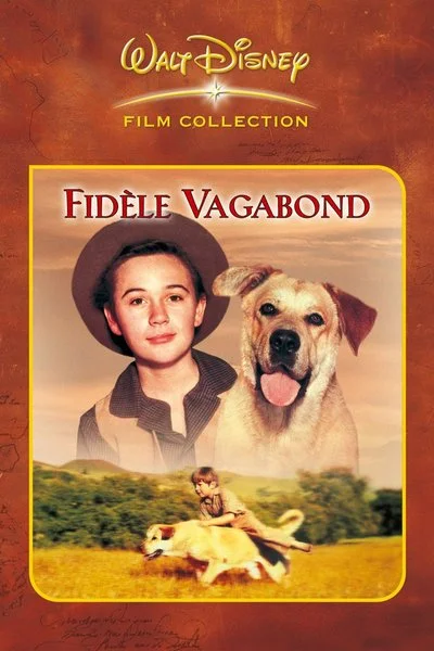 Affiche Fidèle vagabond