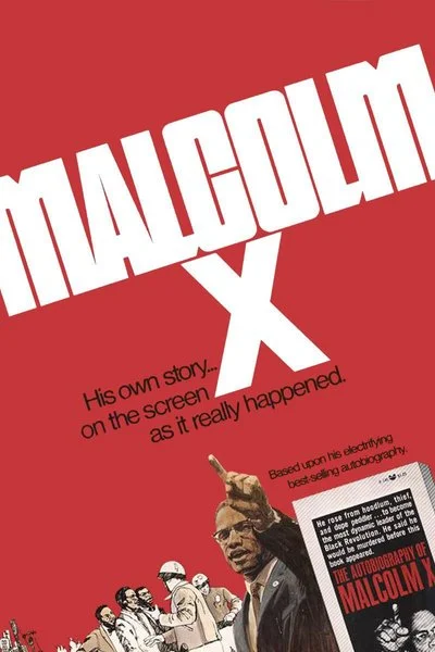 Affiche Malcolm X