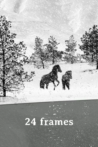Poster 24 Frames