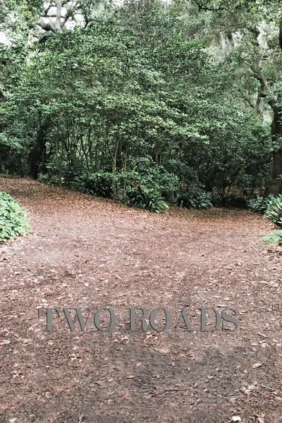 Affiche Two Roads