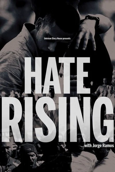 Poster Hate Rising