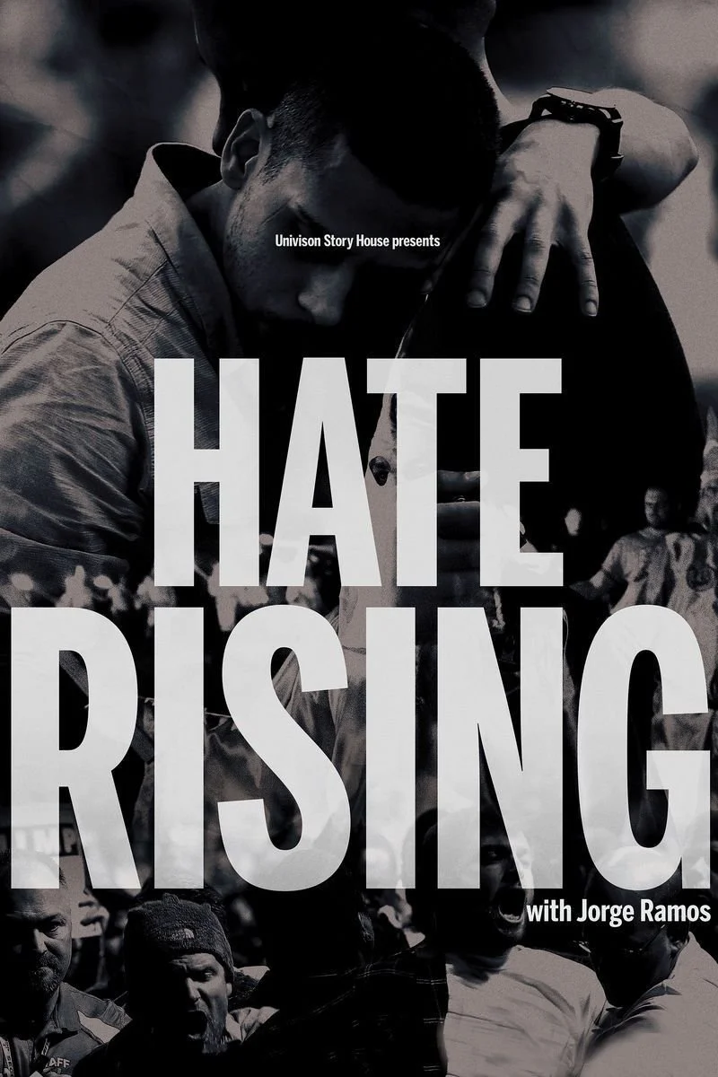 Poster van Hate Rising