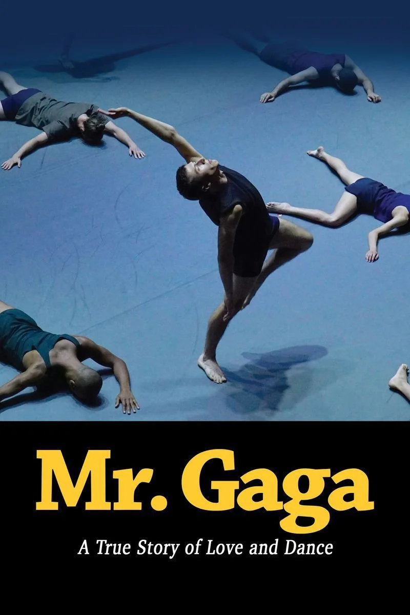 Poster van Mr. Gaga