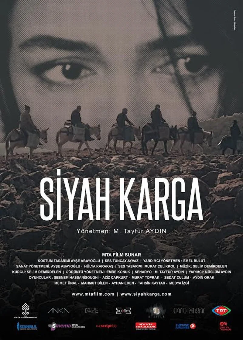 Affiche de Siyah karga