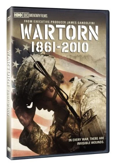Poster Wartorn 1861-2010