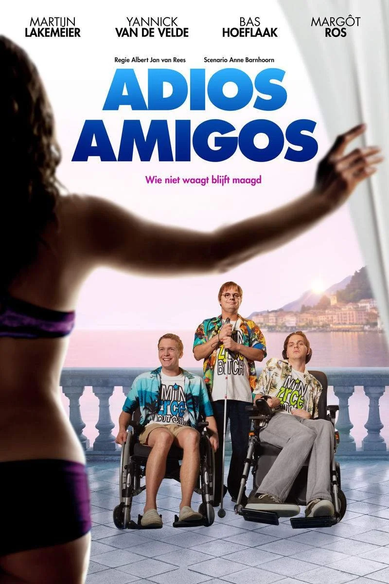 Affiche de Adios Amigos