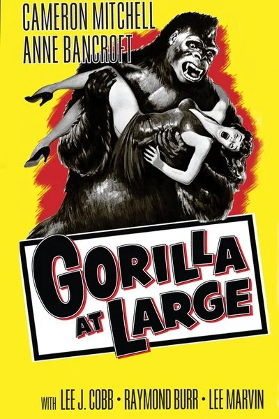 Affiche Gorilla At Large